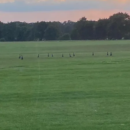 Casa de Férias Blaue Haus