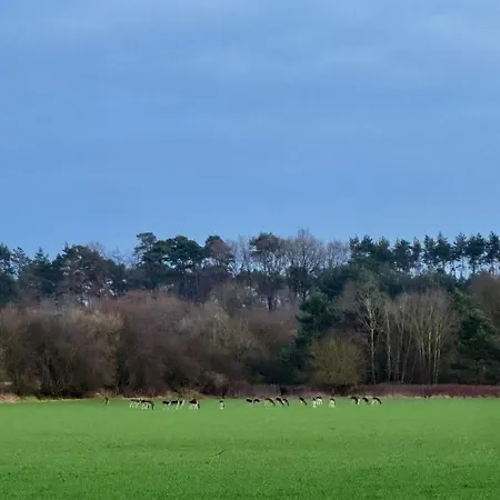 Casa de Férias Blaue Haus Gross Ippener