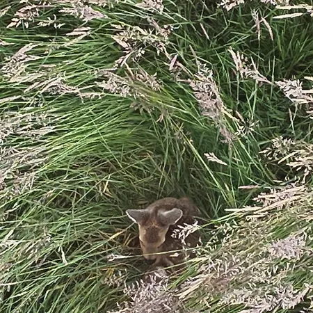 Blaue Haus Gross Ippener