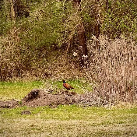 Blaue Haus Hébergement de vacances