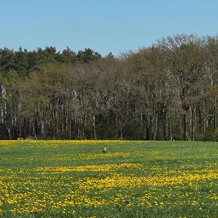 Blaue Haus Gross Ippener