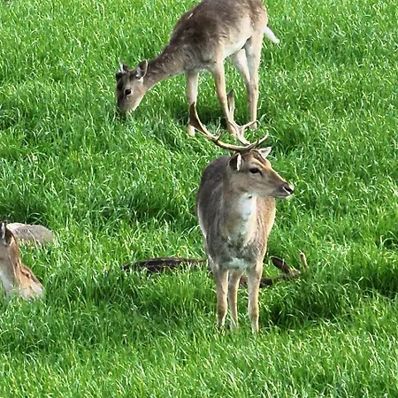Blaue Haus Casa de Férias Gross Ippener