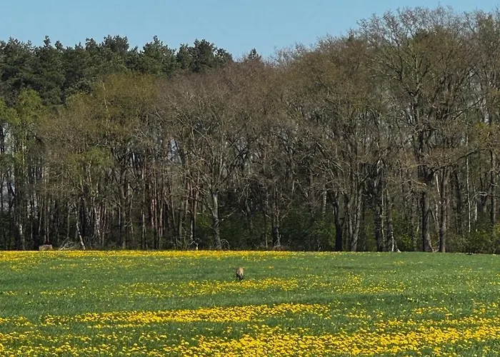 Blaue Haus Gross Ippener